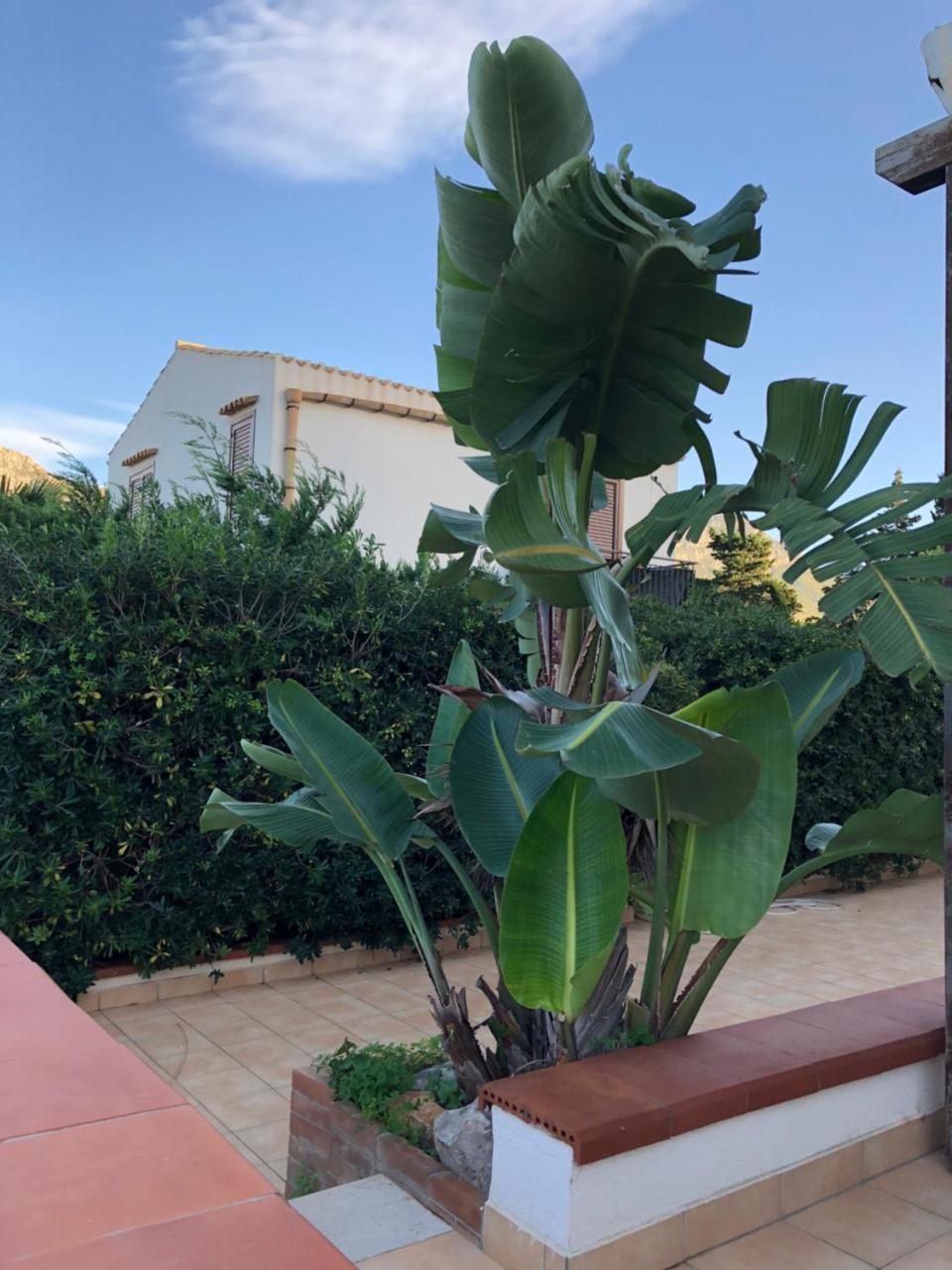 Villa A San Vito Lo Capo Minaudo Dış mekan fotoğraf